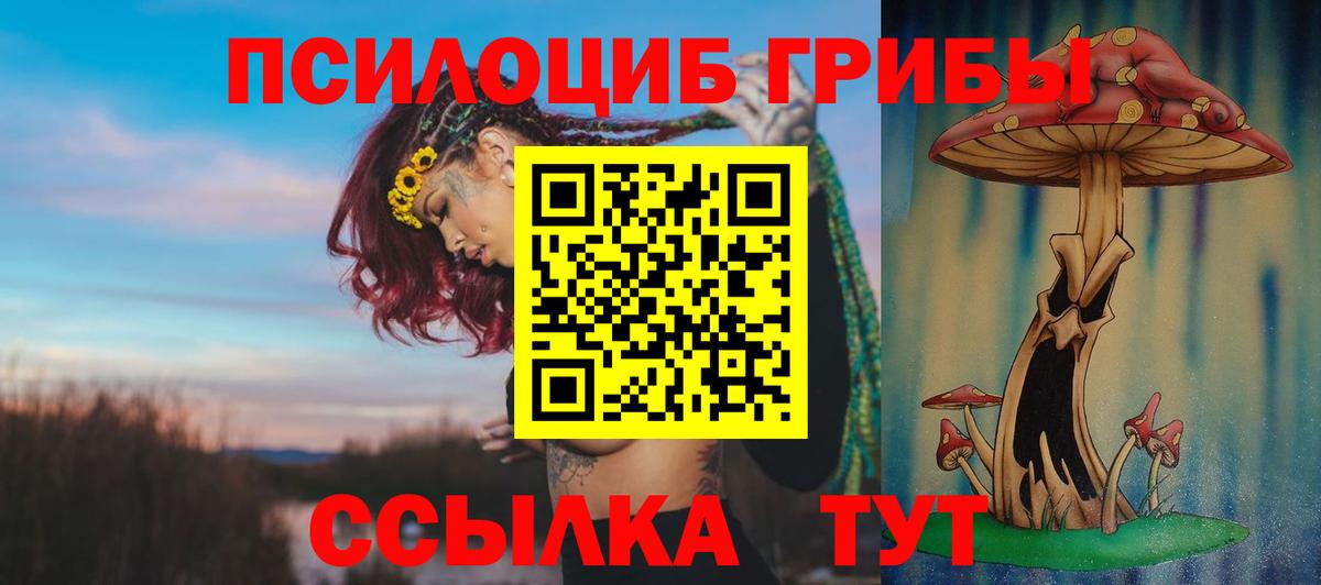 Калининград  Галлюциногенные грибы Psilocybine cubensis  Вход с VPN 
