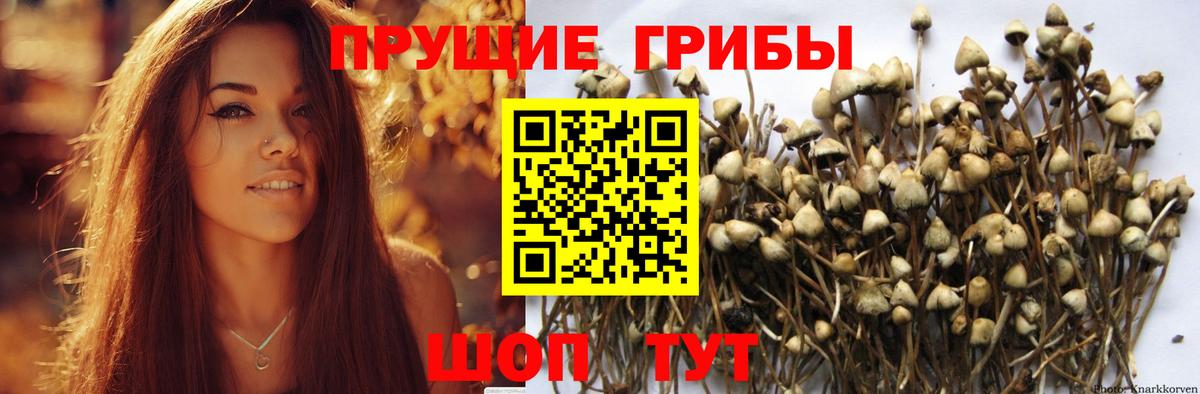 Галлюциногенные грибы мухоморы Калининград